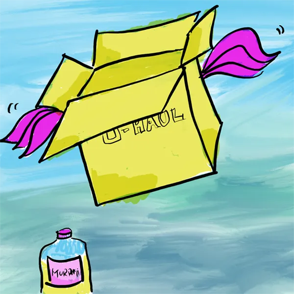 Cartoon: a cardboard box with wings, representing new life for things we might otherwise discard